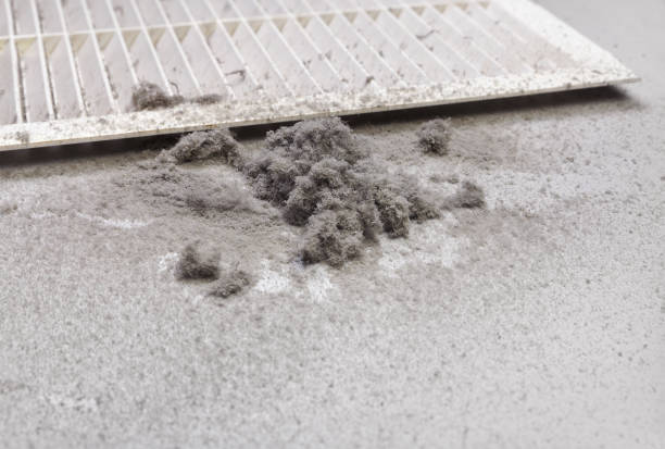 Best Best Air Duct Cleaning Company  in Saks, AL